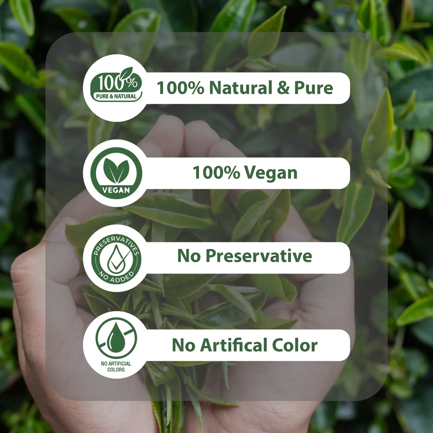 Hands holding green leaves with labels 100% natural, vegan, no preservative, no artificial color