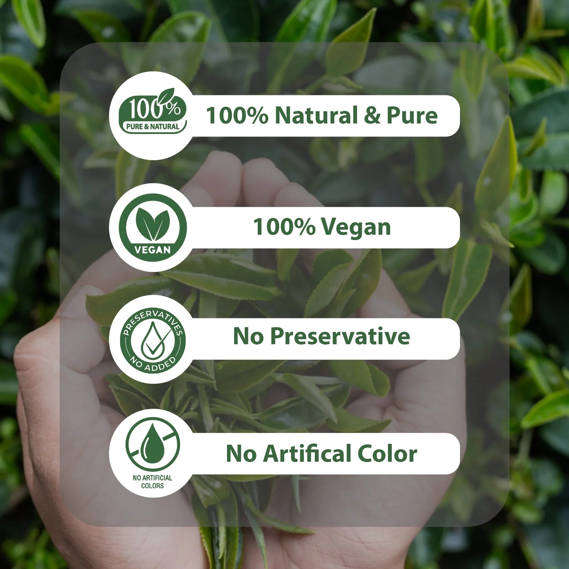 Hands holding green leaves with labels 100% natural, vegan, no preservative, no artificial color