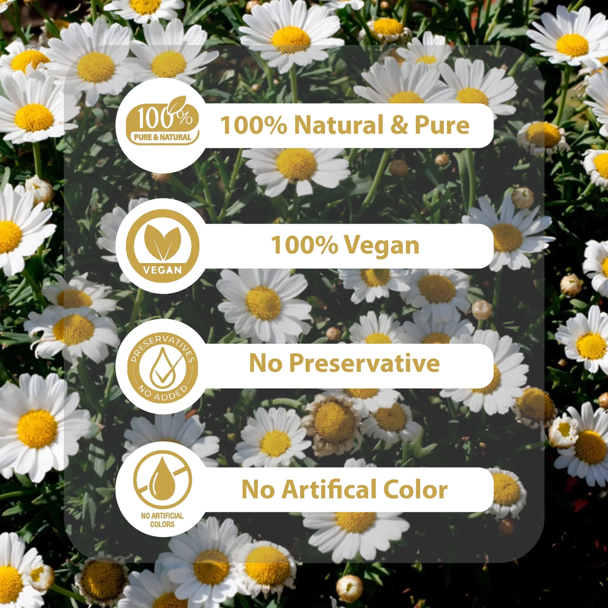 White daisies background with text highlighting 100% natural, vegan, no preservatives, no artificial color