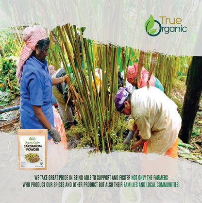 Farmers harvesting cardamom plants in a lush green field with True Organic branding and cardamom powder packaging