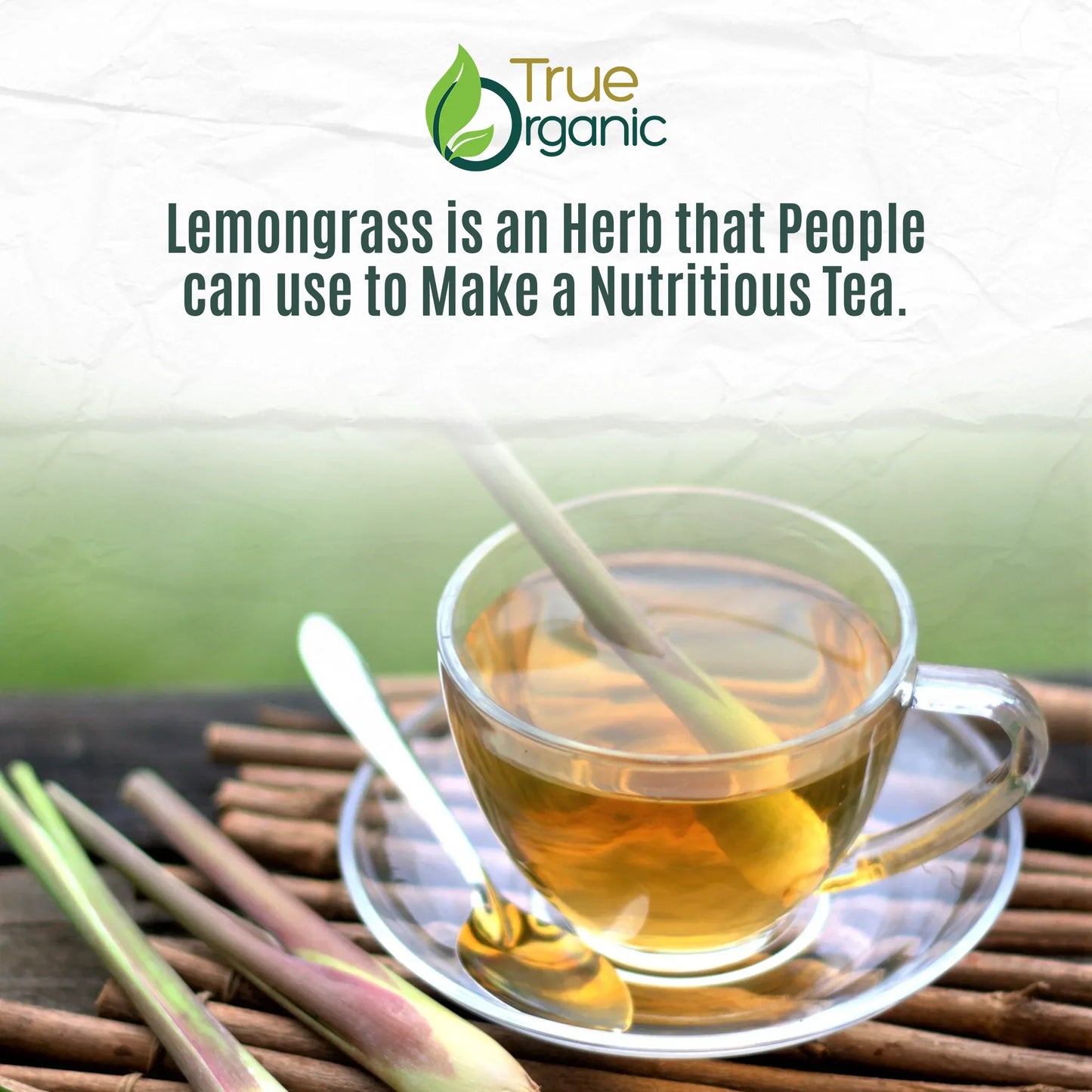 Clear glass cup of lemongrass tea with fresh lemongrass stalks and spoon on wooden surface