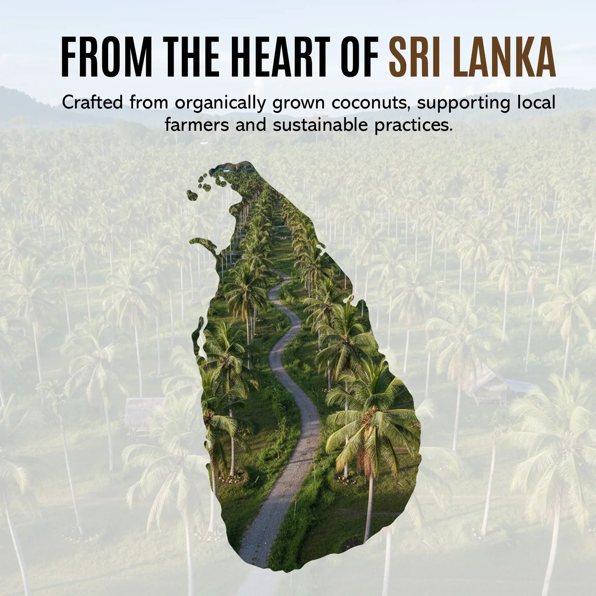 Sri Lanka map shaped image showing coconut farm with palm trees and a winding path, highlighting organic coconut farming