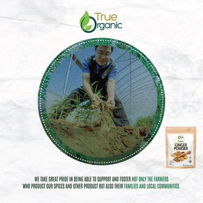 Farmer harvesting organic ginger roots in greenhouse for True Organic ginger powder product